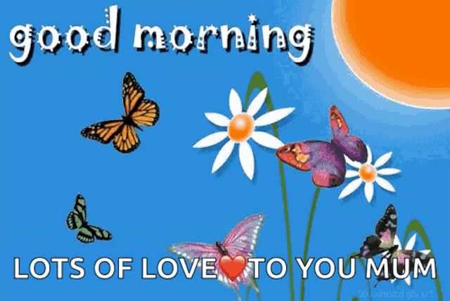 a greeting card with butterflies and flowers that says " good morning lots of love to you mum "
