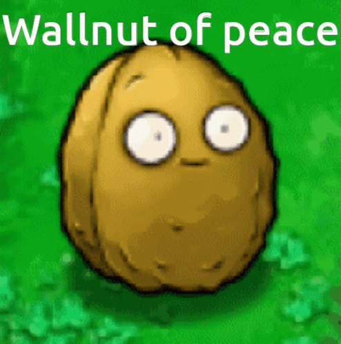 Wallnut GIF - Wallnut GIFs