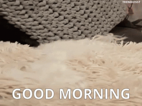 Good Morning Wake Up GIF - Good Morning Wake Up Cute Puppy GIFs