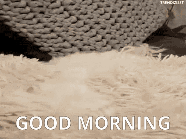 a good morning message is displayed on a blanket