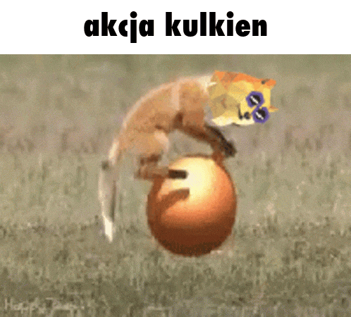 a picture of a fox playing with a ball with the words " kcja kulkien " below it