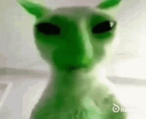 a close up of a green cat 's face with a blurry background .