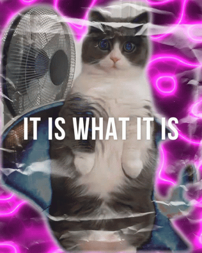 It Is What It Is GIF - It Is What It Is It Is What - Discover & Share GIFs