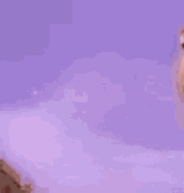 a woman in a pink wig is making a funny face .