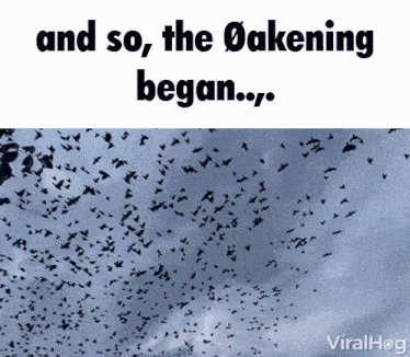 a flock of birds flying in the sky with the words " and so the oakening began ... "