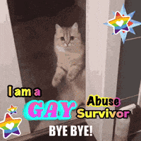 a cat standing in a doorway with the words " i am a gay survivor bye bye " on it