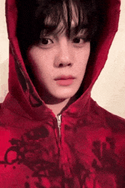 a young man wearing a red hoodie is taking a selfie .