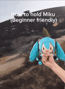 how to hold miku ( beginner friendly ) is written on a poster