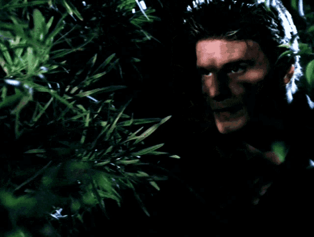 a man peeking out from behind a tree with a dark background