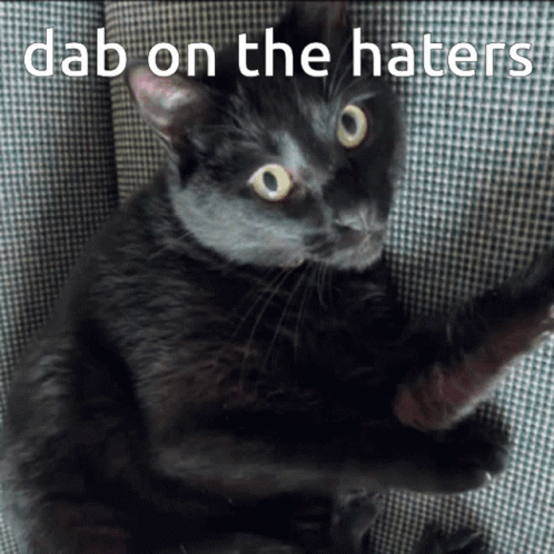 Dab On The Haters Black Cat GIF