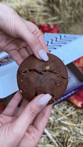 Insomnia Cookies Reeses Peanut Butter Filled Deluxe Cookies GIF - Insomnia Cookies Reeses Peanut Butter Filled Deluxe Cookies Cookies GIFs