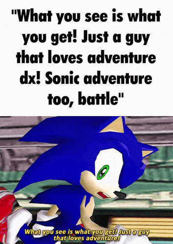 a cartoon of sonic the hedgehog says " what you see is what you get just a guy that loves adventure "
