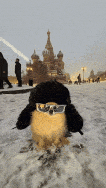 a stuffed animal wearing sunglasses and a hat laying in the snow