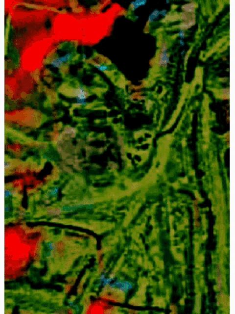 a green and red abstract painting with a black border