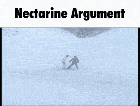 a picture of a man and woman with the words nectarine argument below them