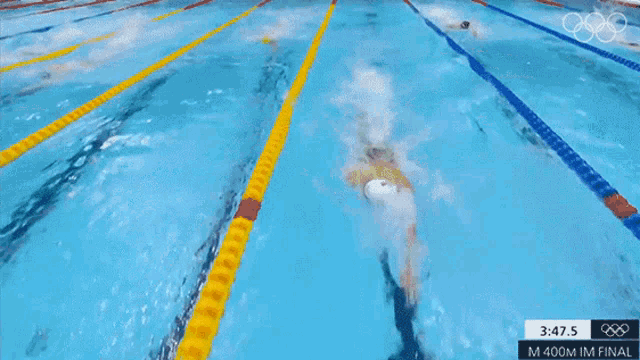 Swimming Chase Kalisz GIF - Swimming Chase Kalisz Olympics GIFs