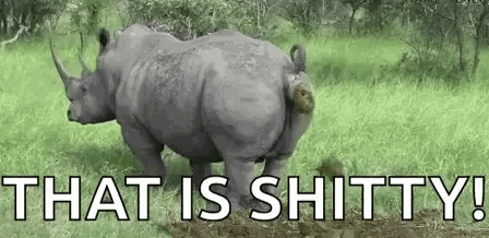 a couple of rhinos standing in a grassy field with the words `` that is shitty '' written above them .