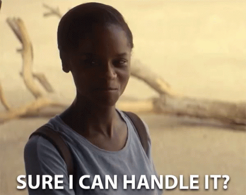 Sure I Can Handle It GIF - Sure I Can Handle It I Can Do It GIFs