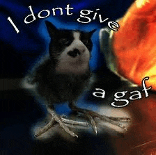 a black and white cat standing on its hind legs with the words i dont give a gaf written on the bottom