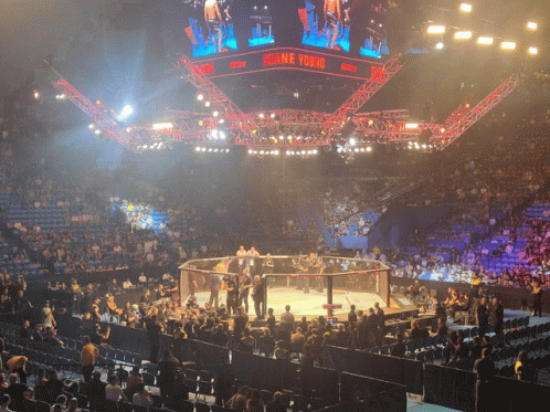 a boxing ring with a sign that says ' ringside young ' at the top