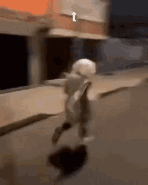 a person is running down a street with a dog behind them .