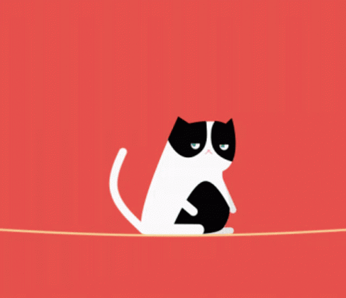 Bouncy Grumpy Cat GIF - Bouncy Grumpy Cat GIFs