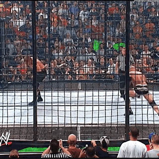 a crowd of people are watching a wrestling match in a cage .