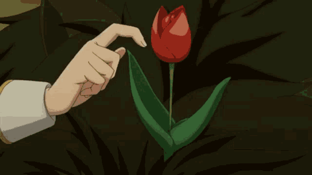 a hand is reaching out to touch a small red flower