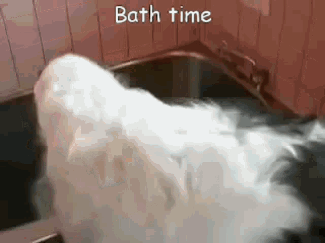 Snoopa Bath Time GIF - Snoopa Bath Time Dog Bath GIFs