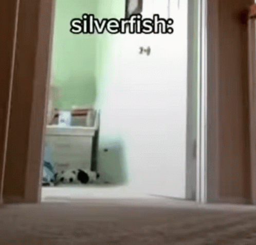 Minecraft Silverfish GIF - Minecraft Silverfish Funny GIFs