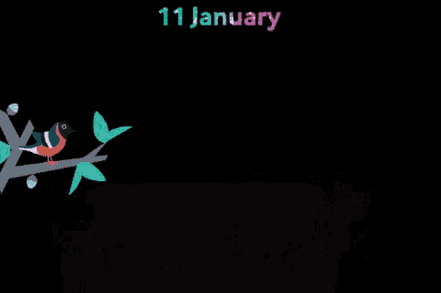 a bird sitting on a branch with the date 11 january on the bottom