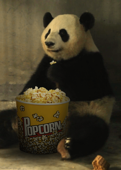 Panda Eating Popcorn GIF - Popcorn Panda Popcornday GIFs