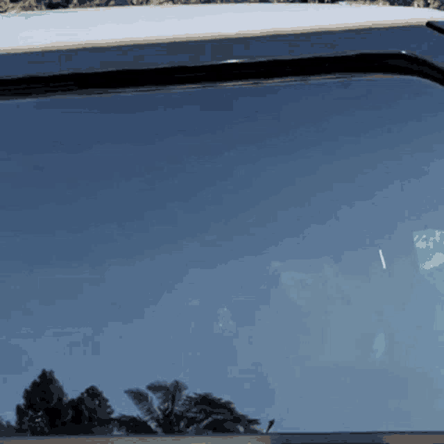 a car windshield with a blue sky and palm trees reflected in it .