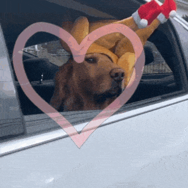 a dog wearing a santa hat is looking out of a car window