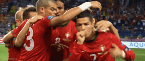 Ronaldo Ronaldo Celebration Vs Netherlands GIF