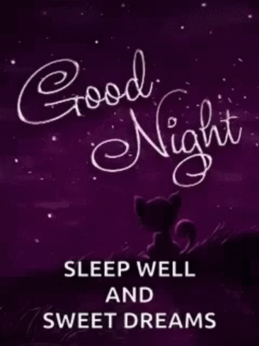 Sweet Dreams Good Night GIF - Sweet Dreams Good Night Cat GIFs