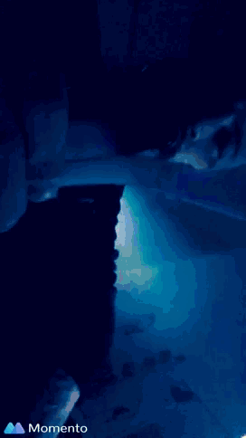 a blue background with a momento icon on the bottom left