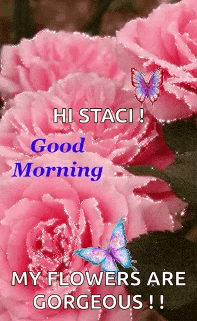 a greeting card with pink roses and butterflies that says hi staci good morning my flowers are gorgeous
