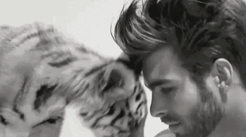 a black and white photo of a man standing next to a tiger .