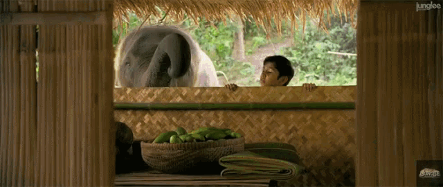Cute Animals Elephant GIF - Cute Animals Elephant Stealing GIFs
