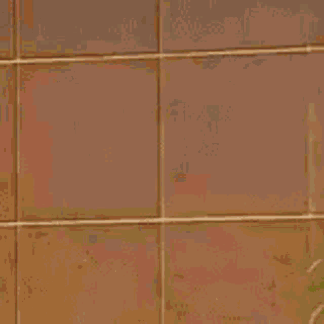 a woman wearing a white shirt and a black skirt is standing in front of a brown wall .