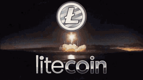 Litecoin Ltc GIF - Litecoin Ltc To GIFs