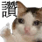 a cat is giving the middle finger in a pixel art .