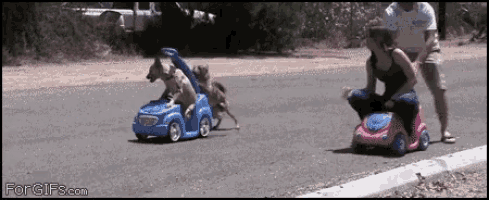 a gif of a woman pushing a toy car with the words for gifs.com on the bottom