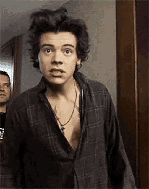 harry styles is wearing a plaid shirt and a necklace and making a funny face .