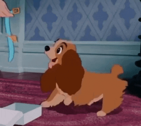 a cartoon dog is standing on a pink rug next to a box .