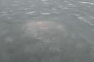 Pool Party GIF - Pool Party Icy GIFs