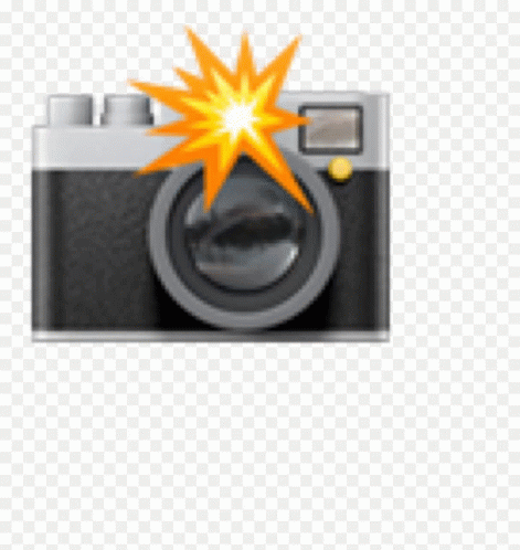 Camera Flash GIF - Camera Flash GIFs