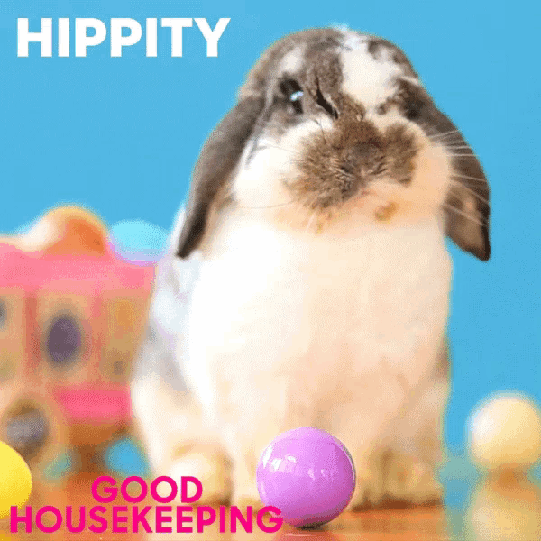 a picture of a rabbit with the words hippity good housekeeping on the bottom