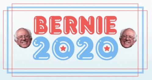 Bernie 2020 GIF - Bernie 2020 Slogan GIFs